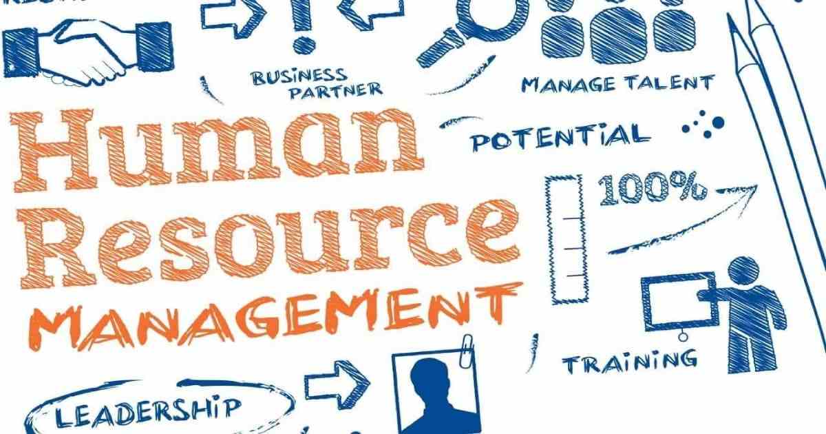 Top Human Resource Management Software