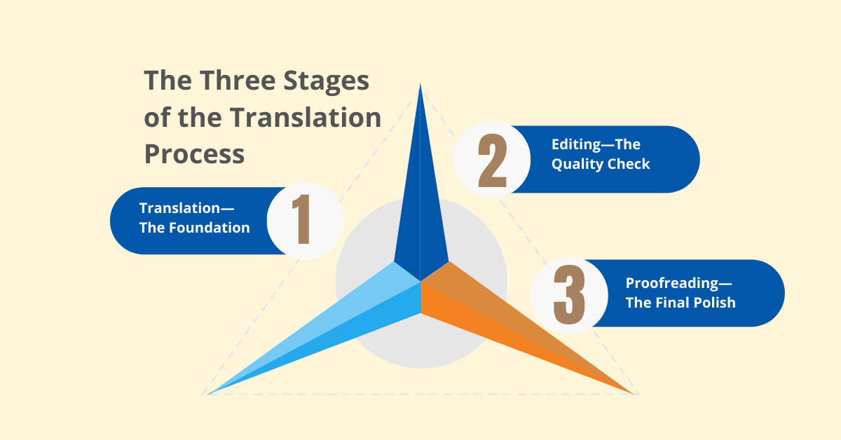 What are the three stages of translation Process ?